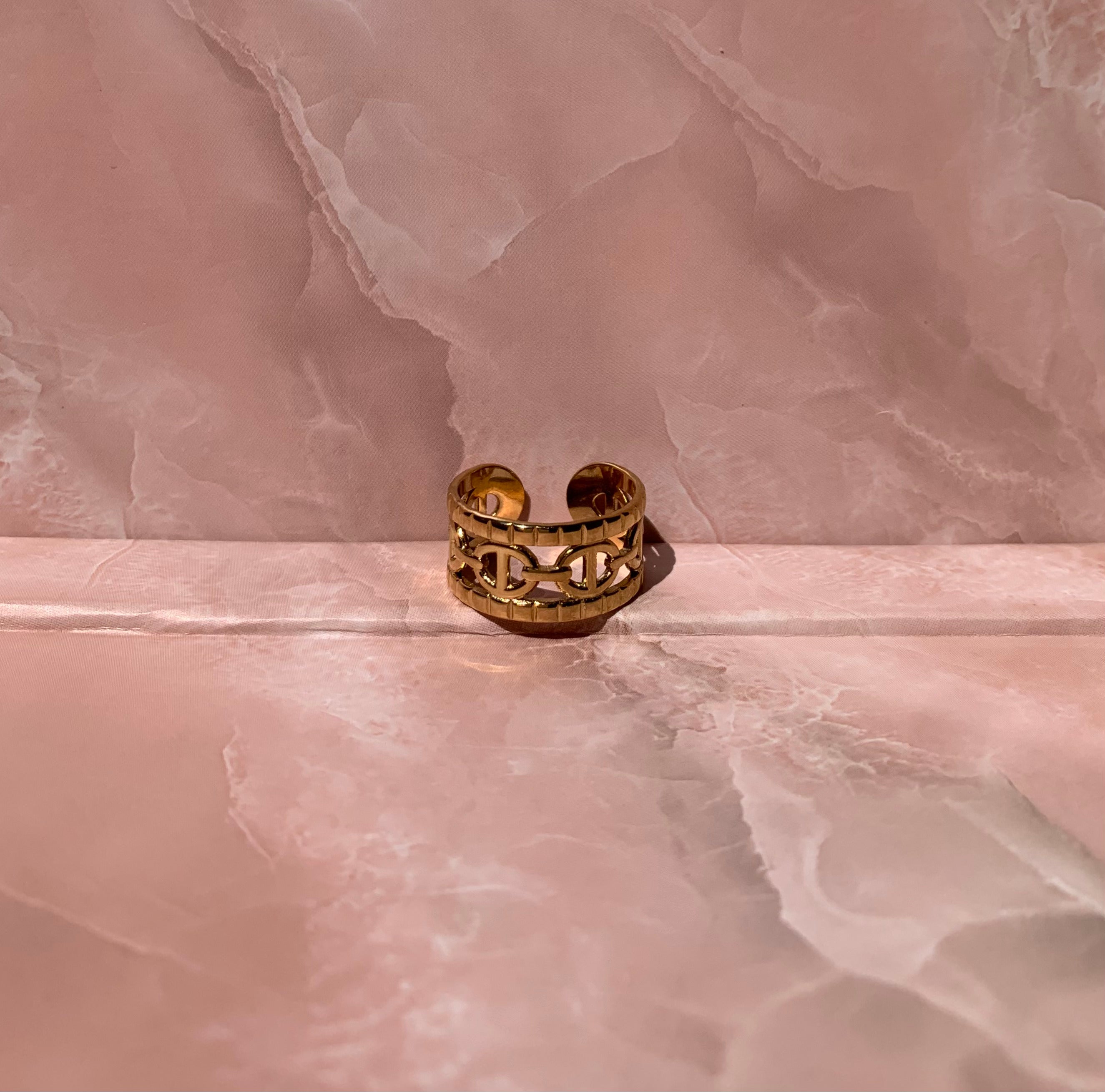 Anillo doble CD de acero inoxidable