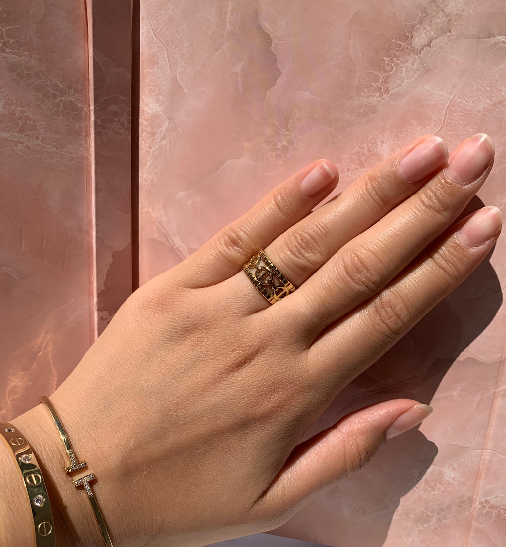 Anillo doble CD de acero inoxidable