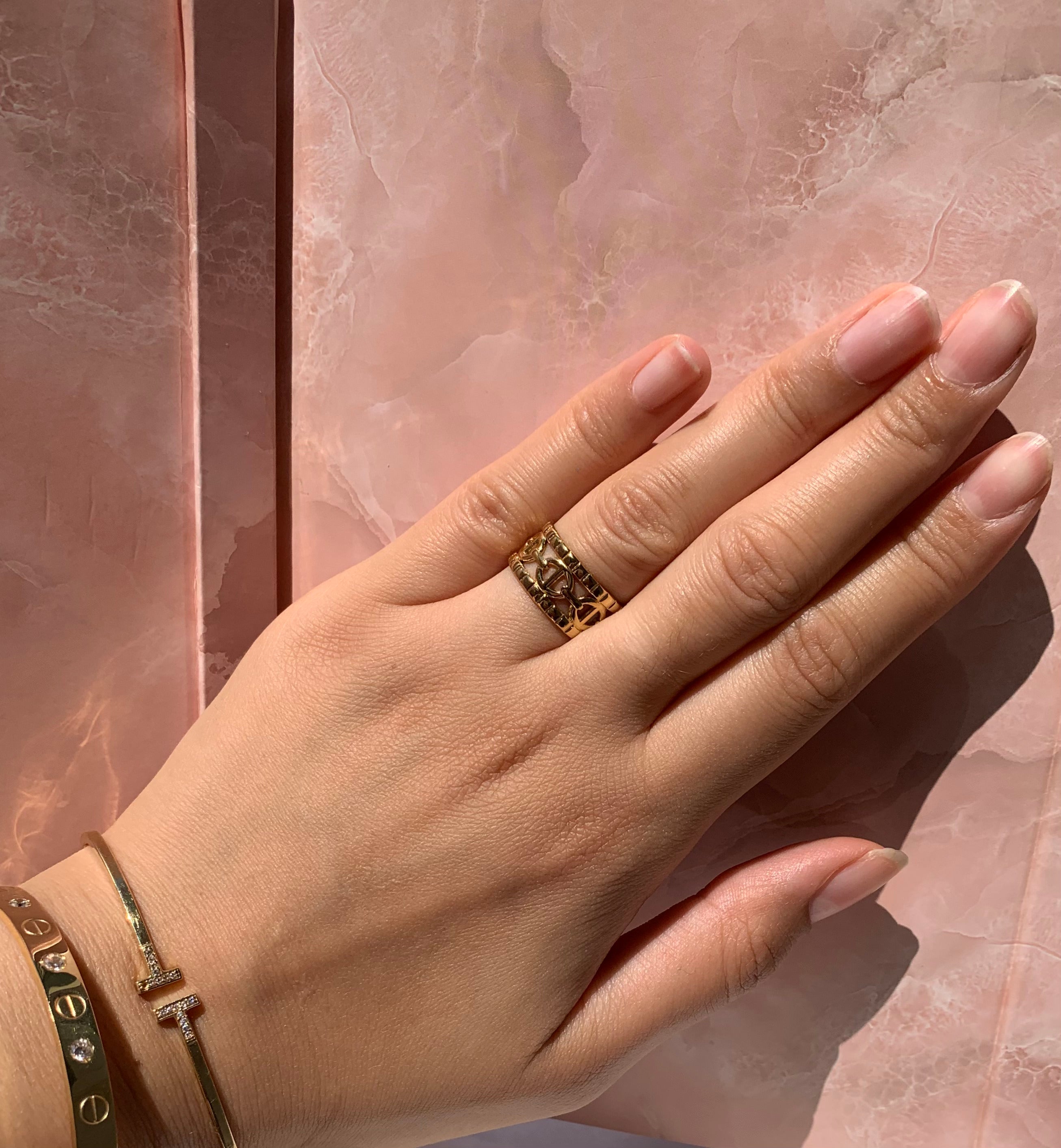 Anillo doble CD de acero inoxidable