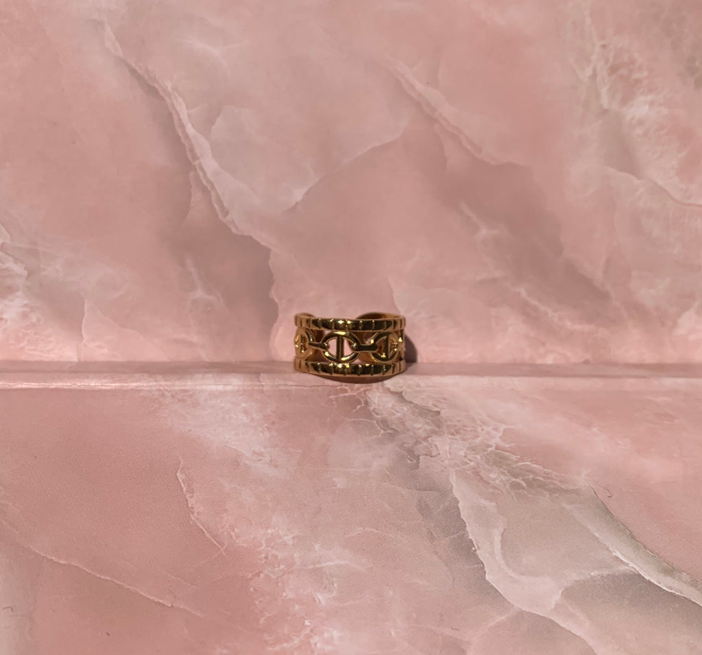 Anillo doble CD de acero inoxidable
