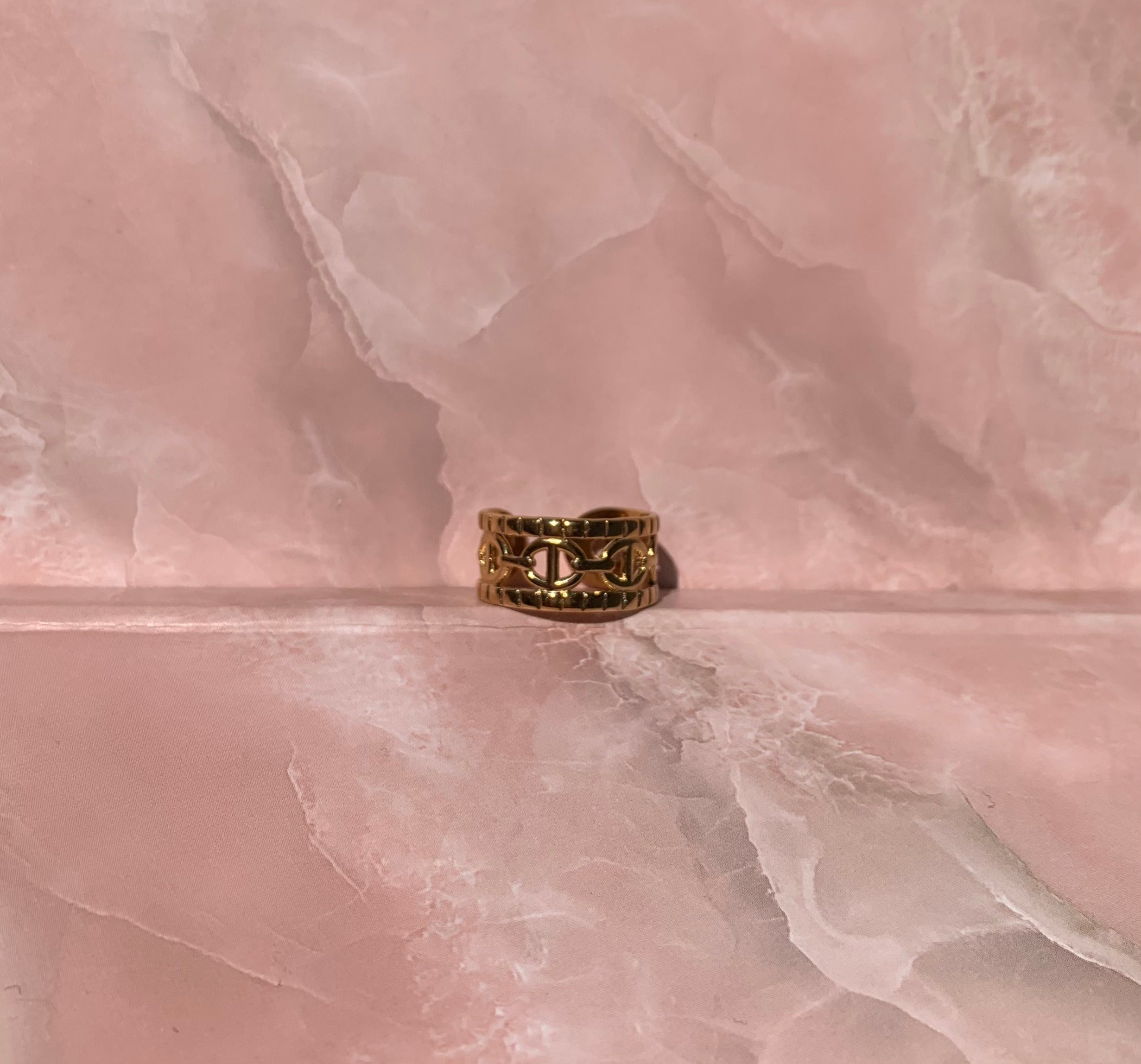 Anillo doble CD de acero inoxidable