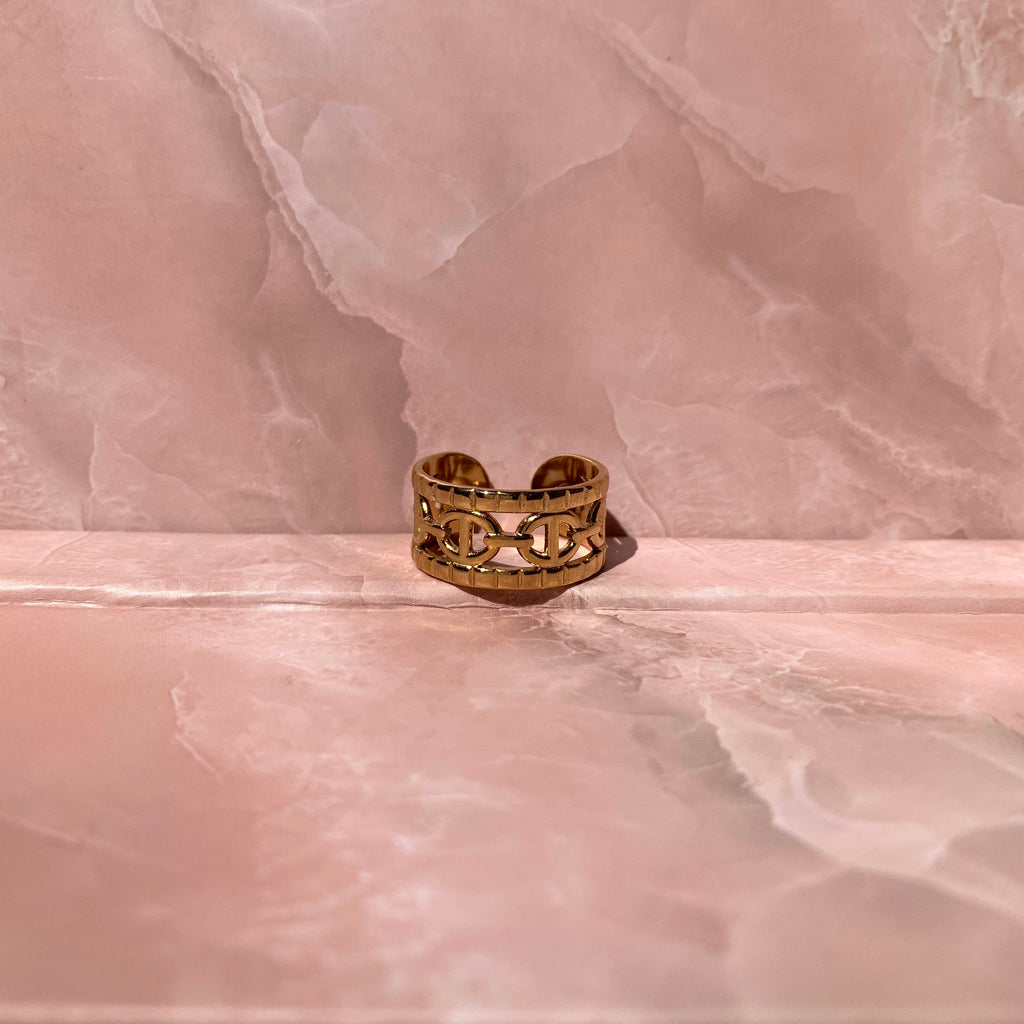 Anillo doble CD de acero inoxidable