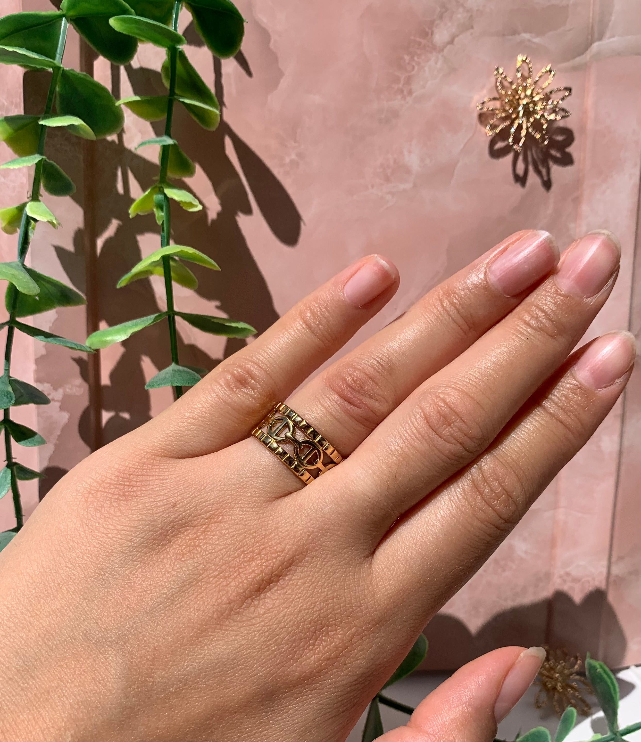 Anillo doble CD de acero inoxidable