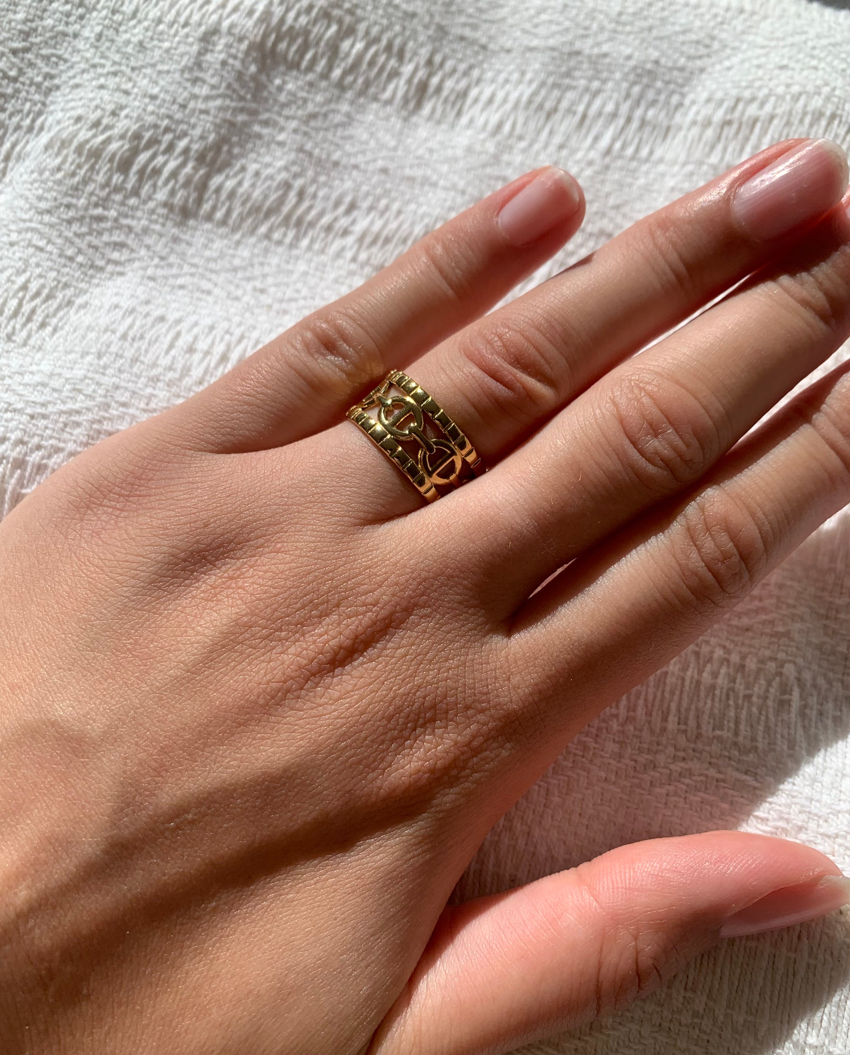 Anillo doble CD de acero inoxidable