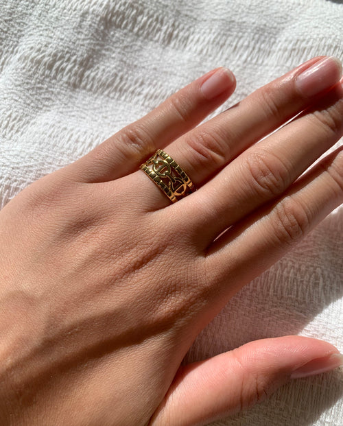 Anillo doble CD de acero inoxidable