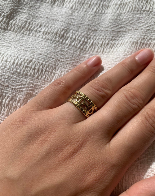 Anillo doble CD de acero inoxidable